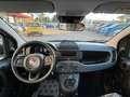 Fiat Panda 1.0 70cv Hybrid Panda Bianco - thumbnail 6