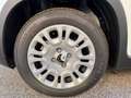 Fiat Panda 1.0 70cv Hybrid Panda Bianco - thumbnail 11