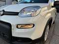 Fiat Panda 1.0 70cv Hybrid Panda Bianco - thumbnail 15
