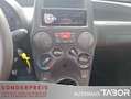 Fiat Panda 1.2 Dynamic ZV el.FH BC 8-Fach - thumbnail 8