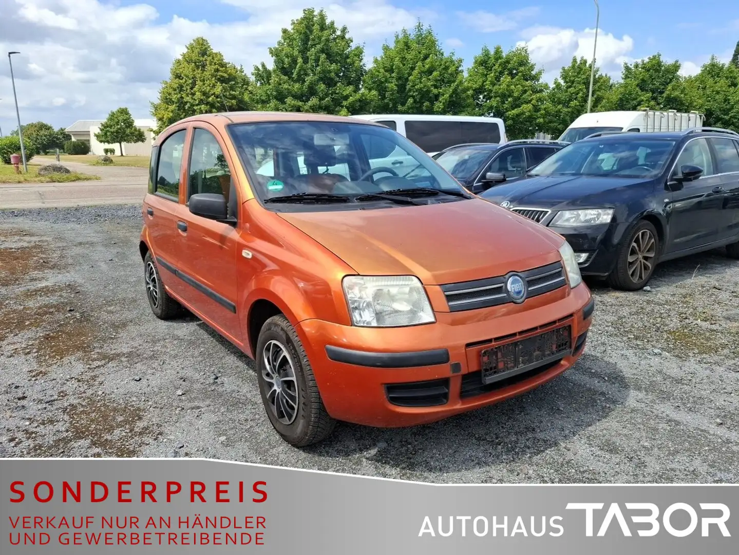 Fiat Panda 1.2 Dynamic ZV el.FH BC 8-Fach - 2