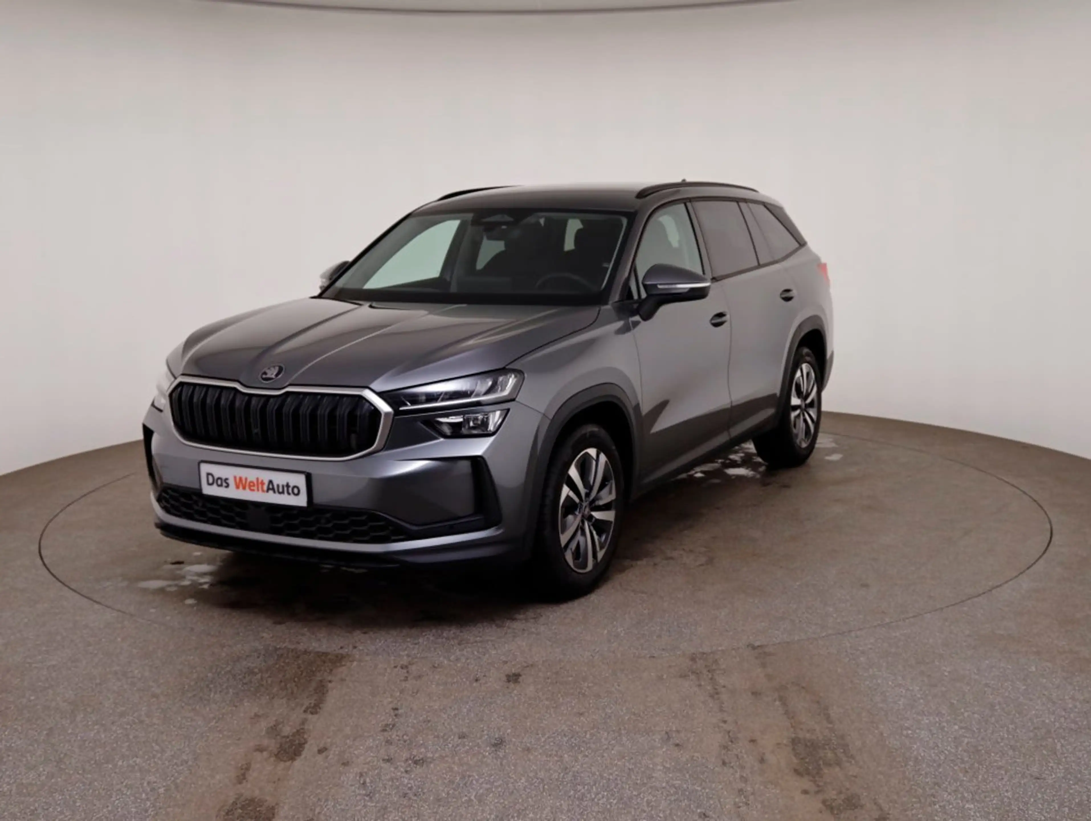 Skoda Kodiaq Selection TDI DSG — photo 4