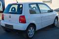 Volkswagen Lupo Rave//TÜV+SER. NEU//SHZ// Weiß - thumbnail 4