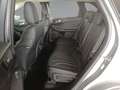 Ford Kuga 2.0 EcoBlue 4x4 Aut. VIGNALE Grau - thumbnail 7