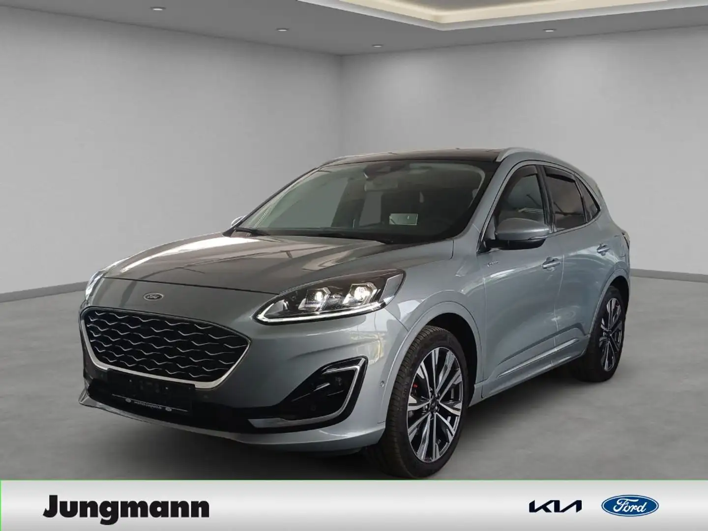 Ford Kuga 2.0 EcoBlue 4x4 Aut. VIGNALE Grau - 1