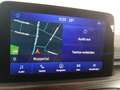 Ford Kuga 2.0 EcoBlue 4x4 Aut. VIGNALE Grau - thumbnail 12