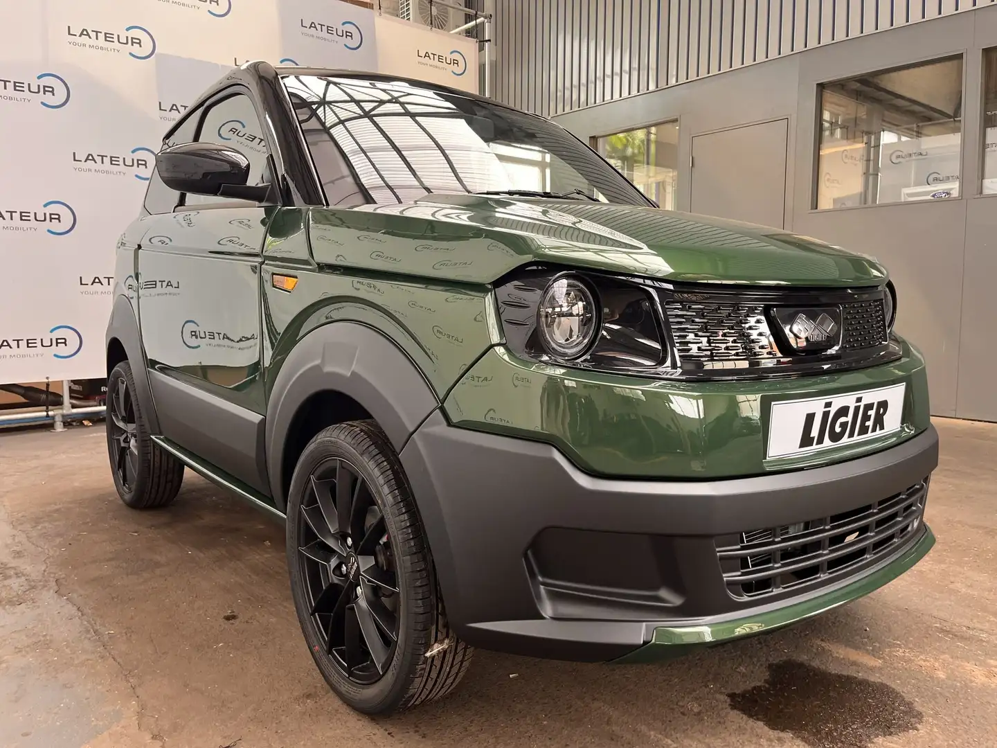 Ligier Myli R.Ebel Edition Elektrisch 12,42kW + AIRCO + SERVO - 2