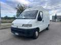 Fiat Ducato DUCATO FURGONE L1H1 Blanc - thumbnail 1