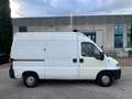 Fiat Ducato DUCATO FURGONE L1H1 Blanc - thumbnail 4