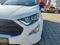 Ford EcoSport 1.5 EB 4x4 ST-Line - thumbnail 11