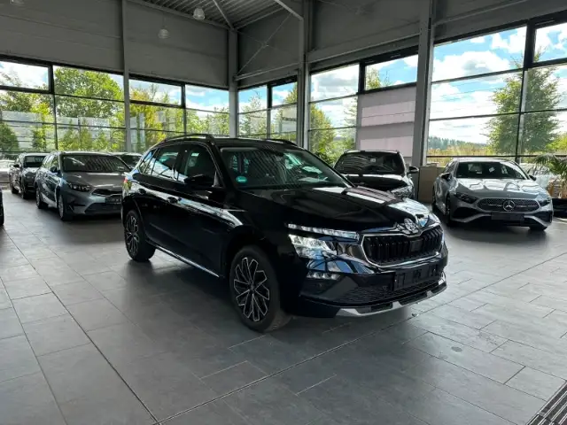 Skoda Kamiq view 4