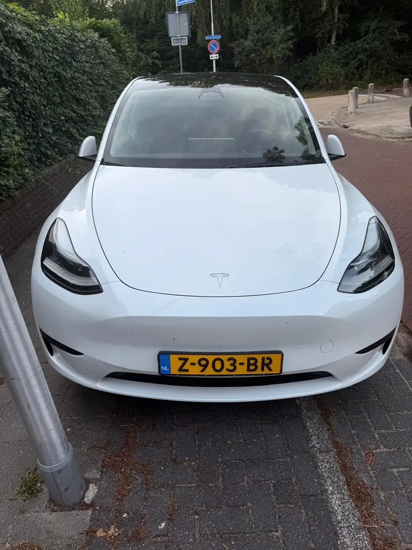 Tesla Model Y Model Y RWD 58 kWh Wit - 1