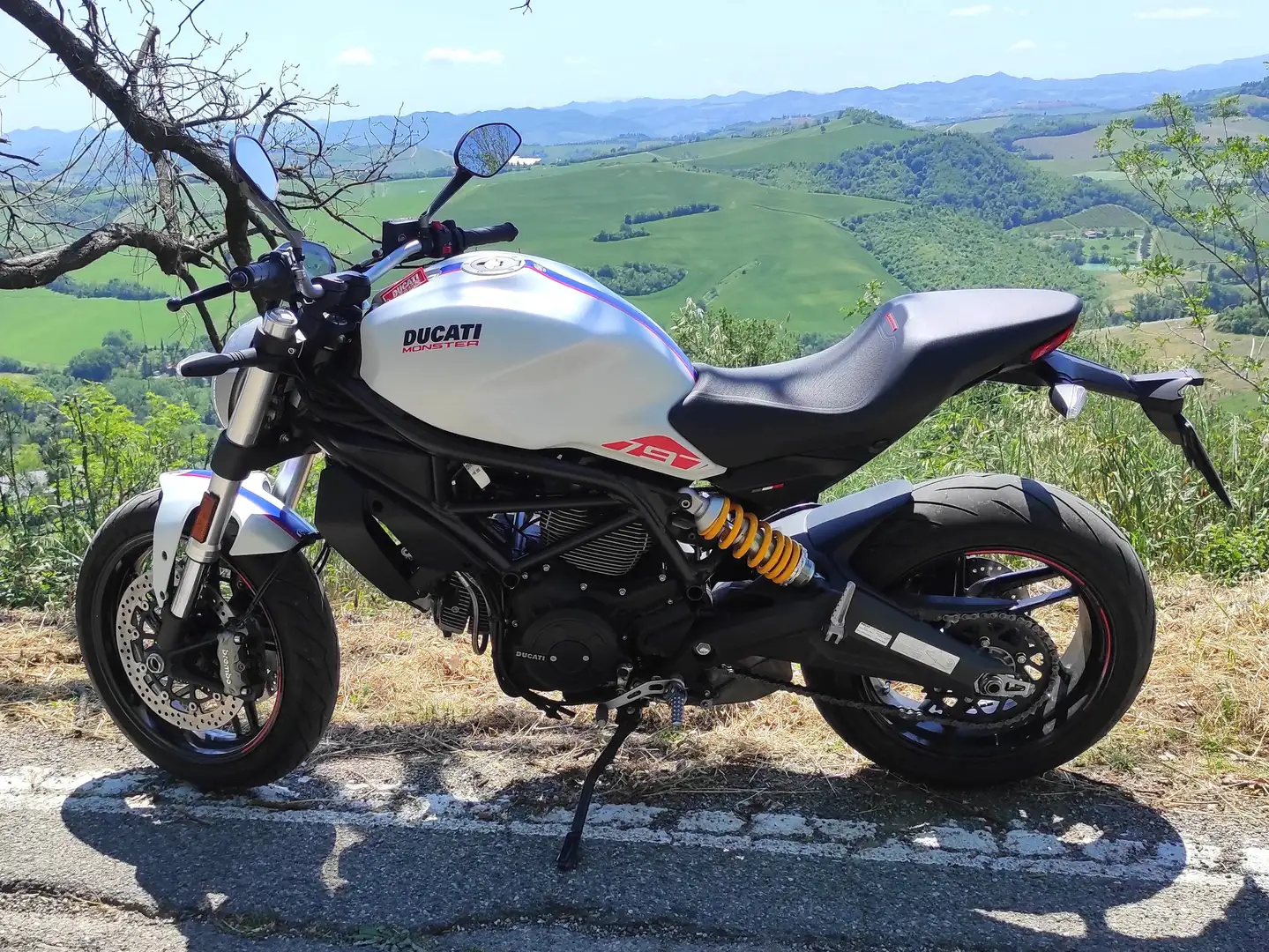 Ducati Monster 797 BFC SPECIAL EDITION Blanc - 2