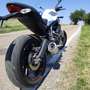 Ducati Monster 797 BFC SPECIAL EDITION Blanc - thumbnail 10