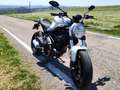 Ducati Monster 797 BFC SPECIAL EDITION Weiß - thumbnail 16