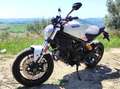 Ducati Monster 797 BFC SPECIAL EDITION Weiß - thumbnail 19