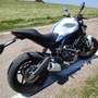 Ducati Monster 797 BFC SPECIAL EDITION Weiß - thumbnail 3