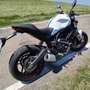 Ducati Monster 797 BFC SPECIAL EDITION Wit - thumbnail 13
