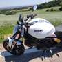 Ducati Monster 797 BFC SPECIAL EDITION Blanc - thumbnail 14