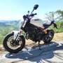 Ducati Monster 797 BFC SPECIAL EDITION Weiß - thumbnail 8