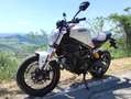 Ducati Monster 797 BFC SPECIAL EDITION Weiß - thumbnail 1