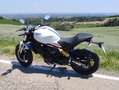 Ducati Monster 797 BFC SPECIAL EDITION Weiß - thumbnail 18