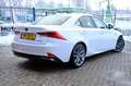Lexus IS 300 300h Hybrid F-Sport Line Aut. Leder|Xenon|Navi|LMV Weiß - thumbnail 3