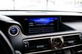 Lexus IS 300 300h Hybrid F-Sport Line Aut. Leder|Xenon|Navi|LMV Weiß - thumbnail 17