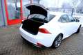 Lexus IS 300 300h Hybrid F-Sport Line Aut. Leder|Xenon|Navi|LMV Weiß - thumbnail 9