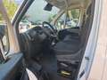 Fiat Ducato Ducato 35+ L4 BlueHDi 180 S&S EuroVI Weiß - thumbnail 20