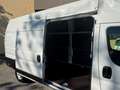 Fiat Ducato Ducato 35+ L4 BlueHDi 180 S&S EuroVI Weiß - thumbnail 16
