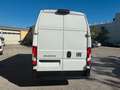 Fiat Ducato Ducato 35+ L4 BlueHDi 180 S&S EuroVI Weiß - thumbnail 6
