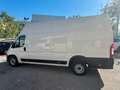 Fiat Ducato Ducato 35+ L4 BlueHDi 180 S&S EuroVI Weiß - thumbnail 4