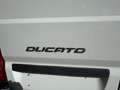 Fiat Ducato Ducato 35+ L4 BlueHDi 180 S&S EuroVI Weiß - thumbnail 13