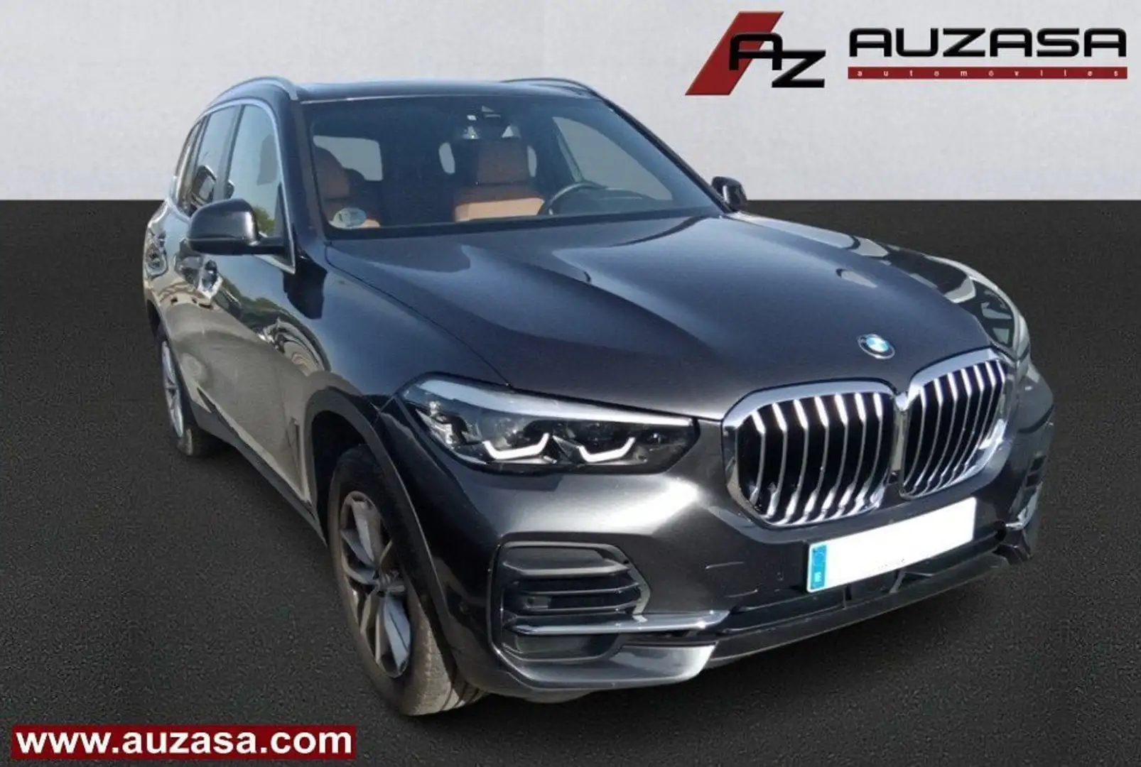BMW X5 xDrive30d Gris - 1