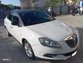 Lancia Delta Delta III 2008 1.6 mjt Platino 120cv dpf Bianco - thumbnail 4