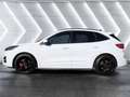 Ford Kuga Plug-In Hybrid ST-Line X Weiß - thumbnail 2
