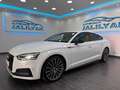 Audi A5 2,0 TDI 3XS-LINe, VIRTUAL, CAR PLAY, NAVI, LED+... Blanc - thumbnail 2