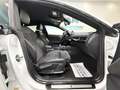 Audi A5 2,0 TDI 3XS-LINe, VIRTUAL, CAR PLAY, NAVI, LED+... Blanc - thumbnail 38