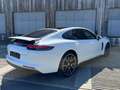 Porsche Panamera 4E-Hybrid*APPROVED*MATRIX*LUFT*BOSE*PAN Blanc - thumbnail 6