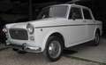 Fiat 1100 D Bianco - thumbnail 2