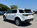 Land Rover Discovery Sport Discovery Sport 2.0 td4 SE awd 150cv auto Weiß - thumbnail 6