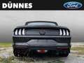 Ford Mustang CALIFORNIA SPECIAL MODELL 5.0 Ti-VCT V8 Aut. GT Grau - thumbnail 8