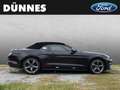 Ford Mustang CALIFORNIA SPECIAL MODELL 5.0 Ti-VCT V8 Aut. GT Grau - thumbnail 6