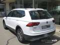 Volkswagen Tiguan Allspace 2.0 TDI DSG 4M Comfortline NAVI/AHK/Sthz Alb - thumbnail 4
