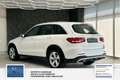 Mercedes-Benz GLC 220 d 4Matic AMG Line*Panorama*Tempomat*1 Hand* Blanc - thumbnail 5