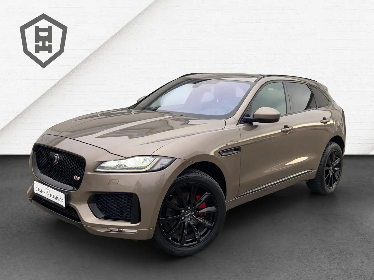 Jaguar F-Pace First Edition R-Sport Panorama ACC Bruin - 1