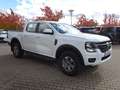 Ford Ranger XLT DoKa 2.0L 4x4 AT WiPa AHK Kam Weiß - thumbnail 7