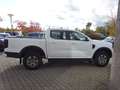 Ford Ranger XLT DoKa 2.0L 4x4 AT WiPa AHK Kam Weiß - thumbnail 6