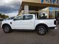 Ford Ranger XLT DoKa 2.0L 4x4 AT WiPa AHK Kam Weiß - thumbnail 2